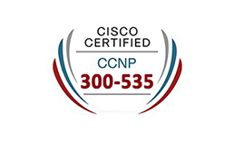 SPAUTO: Automating Cisco Service Provider Solutions
